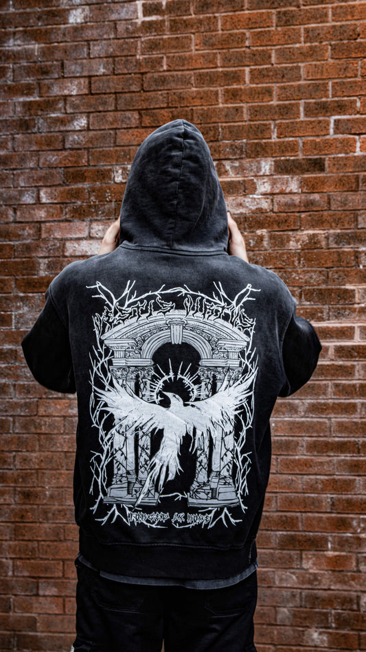 Heavyweight Vestis Virtus Oversized Hoodie